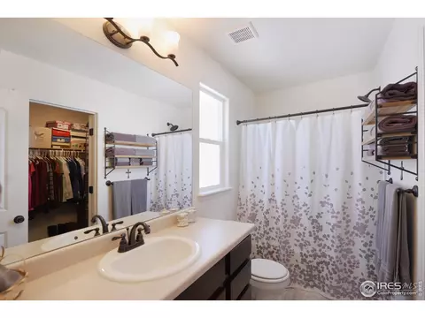 979 Cherrybrook Dr, Windsor, CO 80550 photo 22