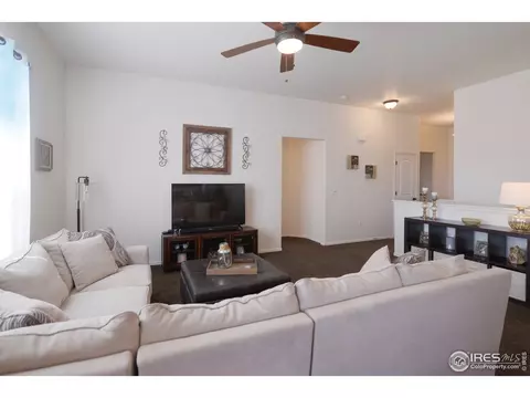979 Cherrybrook Dr, Windsor, CO 80550 photo 5