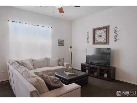 979 Cherrybrook Dr, Windsor, CO 80550 photo 6