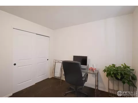 979 Cherrybrook Dr, Windsor, CO 80550 photo 26