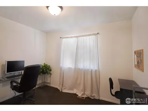 979 Cherrybrook Dr, Windsor, CO 80550 photo 25