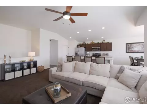 979 Cherrybrook Dr, Windsor, CO 80550 photo 8