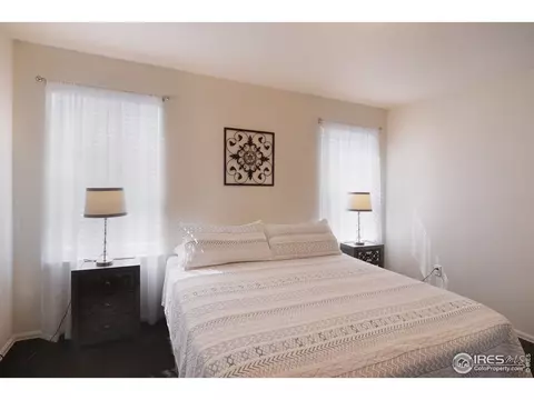 979 Cherrybrook Dr, Windsor, CO 80550 photo 17