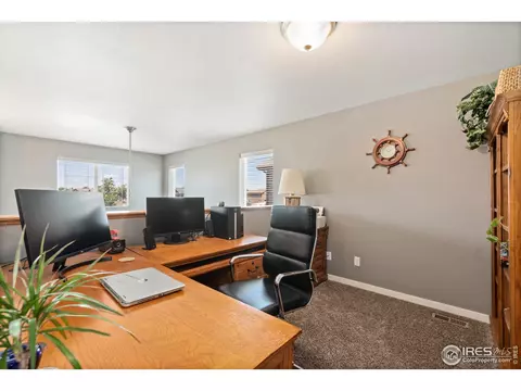 680 Dakota Way, Windsor, CO 80550 photo 20