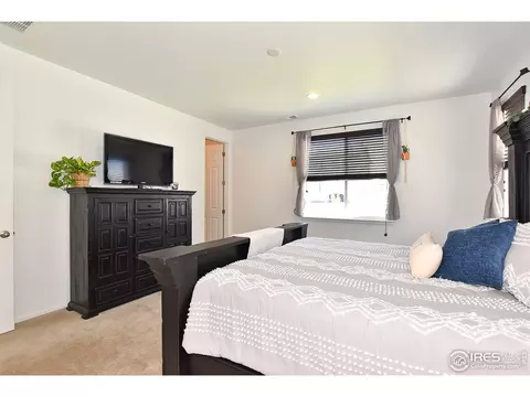 5540 Bexley Dr, Windsor, CO 80550 photo 22
