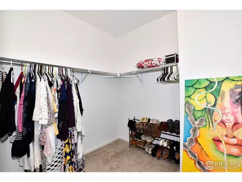 5540 Bexley Dr, Windsor, CO 80550 photo 26