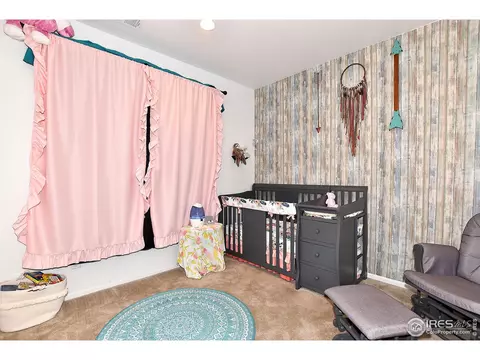 5540 Bexley Dr, Windsor, CO 80550 photo 27