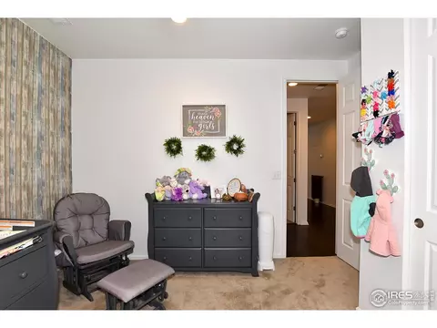 5540 Bexley Dr, Windsor, CO 80550 photo 29