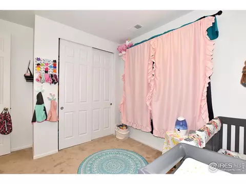 5540 Bexley Dr, Windsor, CO 80550 photo 28