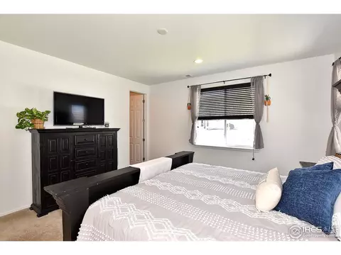 5540 Bexley Dr, Windsor, CO 80550 photo 20