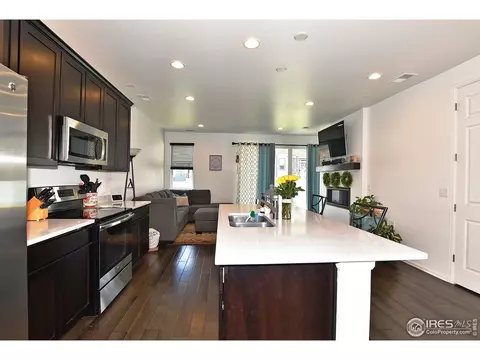 5540 Bexley Dr, Windsor, CO 80550 photo 13