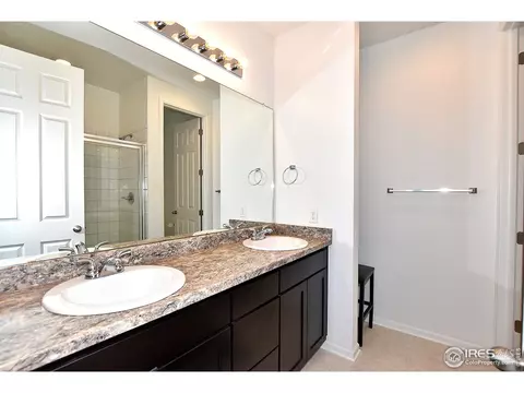 5540 Bexley Dr, Windsor, CO 80550 photo 23
