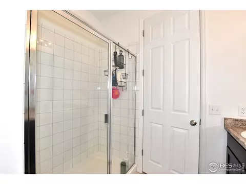 5540 Bexley Dr, Windsor, CO 80550 photo 25