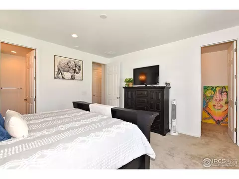 5540 Bexley Dr, Windsor, CO 80550 photo 21