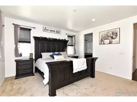 5540 Bexley Dr, Windsor, CO 80550 photo 19