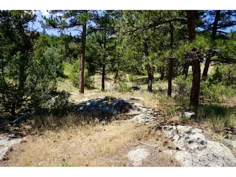 175 Choctaw Rd, Lyons, CO 80540 photo 34