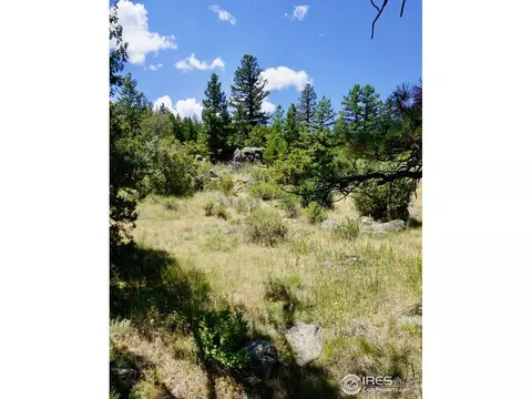 175 Choctaw Rd, Lyons, CO 80540 photo 4