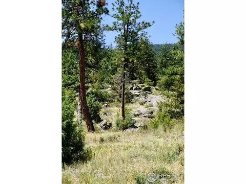 175 Choctaw Rd, Lyons, CO 80540 photo 12