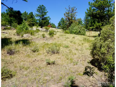175 Choctaw Rd, Lyons, CO 80540 photo 19
