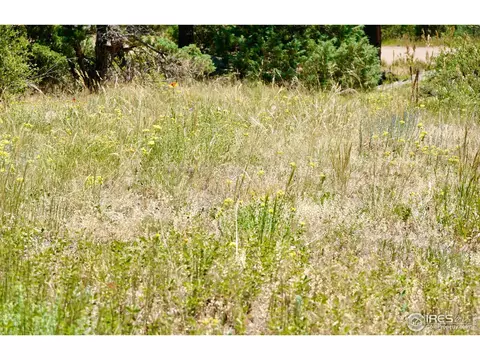 175 Choctaw Rd, Lyons, CO 80540 photo 24