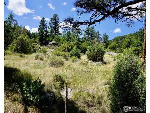 175 Choctaw Rd, Lyons, CO 80540 photo 7