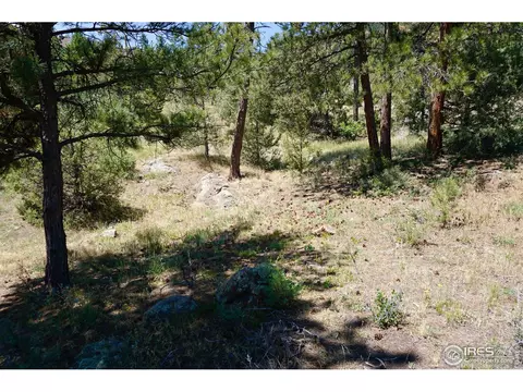 175 Choctaw Rd, Lyons, CO 80540 photo 23