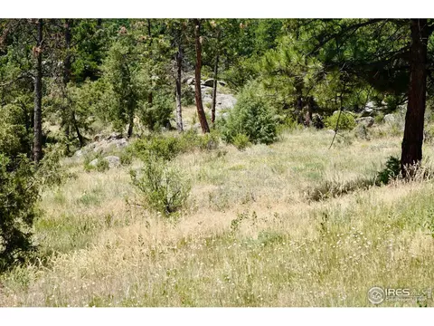 175 Choctaw Rd, Lyons, CO 80540 photo 17
