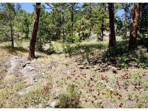 175 Choctaw Rd, Lyons, CO 80540 photo 29