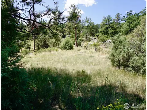 175 Choctaw Rd, Lyons, CO 80540 photo 21