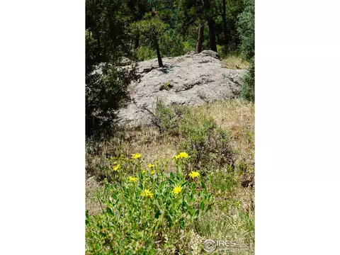 175 Choctaw Rd, Lyons, CO 80540 photo 8