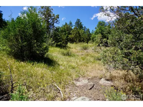 175 Choctaw Rd, Lyons, CO 80540 photo 3