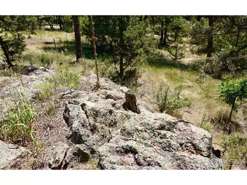 175 Choctaw Rd, Lyons, CO 80540 photo 31