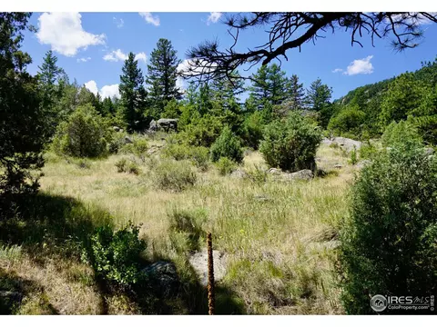 175 Choctaw Rd, Lyons, CO 80540 photo 10