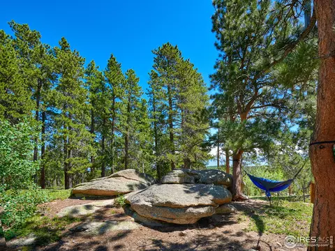 95 Cody Trl, Ward, CO 80481 photo 25