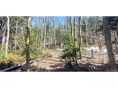 2751 Grojean Dr, Fort Garland, CO 81133
