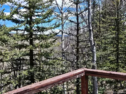309 Pepperbox Path, Jefferson, CO 80456 photo 31