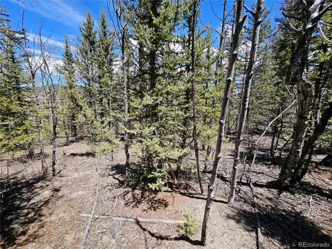 309 Pepperbox Path, Jefferson, CO 80456 photo 26