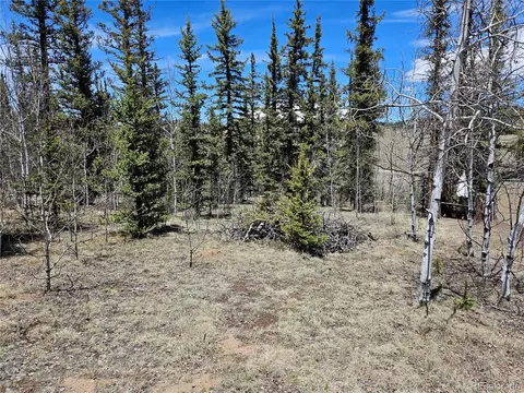 309 Pepperbox Path, Jefferson, CO 80456 photo 19
