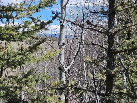 309 Pepperbox Path, Jefferson, CO 80456 photo 35