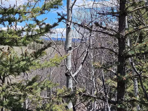 309 Pepperbox Path, Jefferson, CO 80456 photo 36