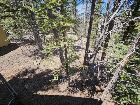 309 Pepperbox Path, Jefferson, CO 80456 photo 39