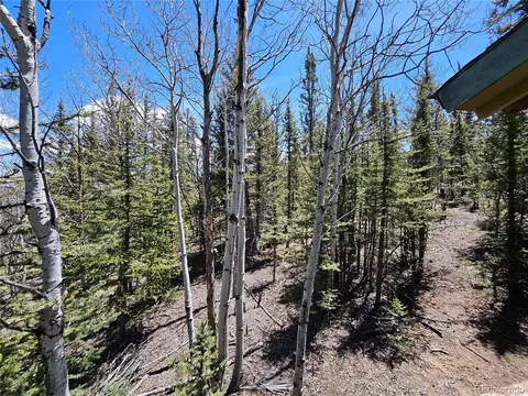 309 Pepperbox Path, Jefferson, CO 80456 photo 37