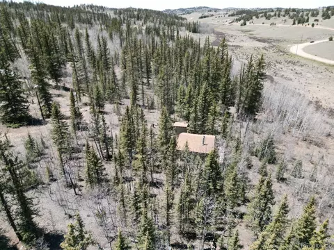 309 Pepperbox Path, Jefferson, CO 80456 photo 16