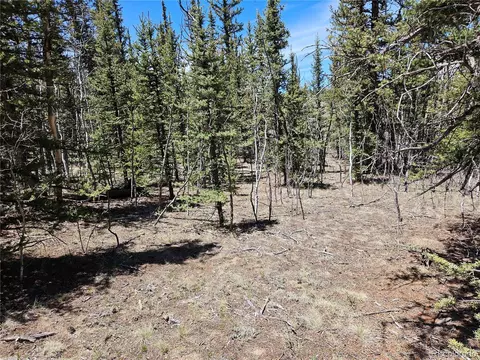 309 Pepperbox Path, Jefferson, CO 80456 photo 45