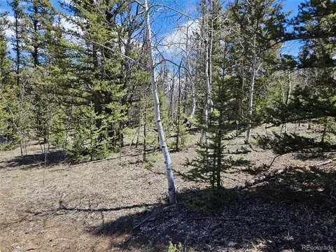 309 Pepperbox Path, Jefferson, CO 80456 photo 20