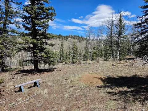 309 Pepperbox Path, Jefferson, CO 80456 photo 44