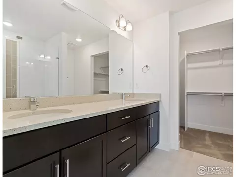 5865 Denys Dr, Timnath, CO 80547 photo 29