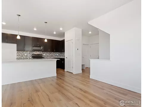 5865 Denys Dr, Timnath, CO 80547 photo 15