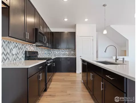 5865 Denys Dr, Timnath, CO 80547 photo 17