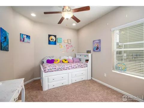 5560 Trailway Ave, Firestone, CO 80504 photo 16